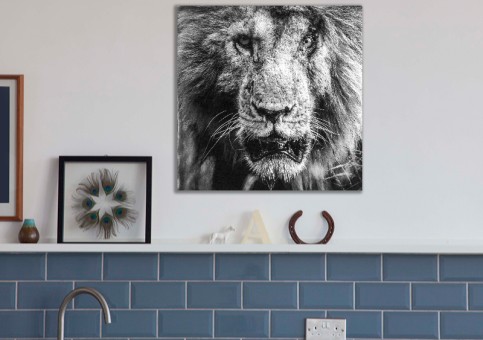 Tableaux personnalisés  Portrait lion