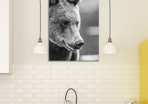 Tableaux personnalisés  Ours