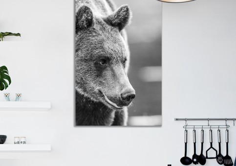 Tableaux personnalisés  Ours