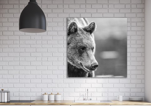 Tableaux personnalisés  Ours