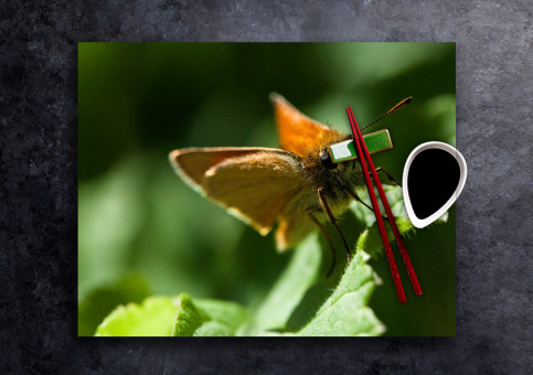 set de table personnalisé Papillon Sylvaine 1