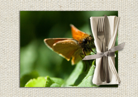 set de table personnalisé Papillon Sylvaine 1