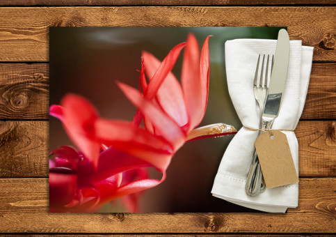 set de table personnalisé Fleur de Cactée