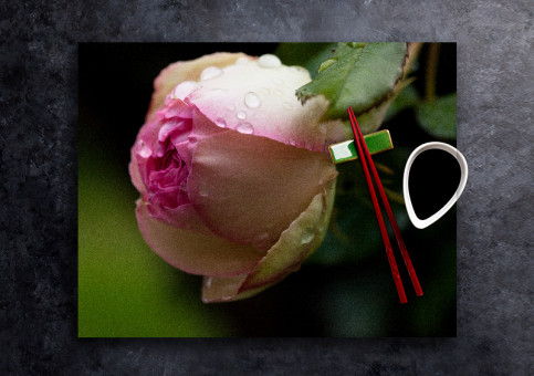 set de table personnalisé Rose Pierre de Ronsart 2017