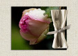 set de table personnalisé Rose Pierre de Ronsart 2017