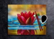  Water lily