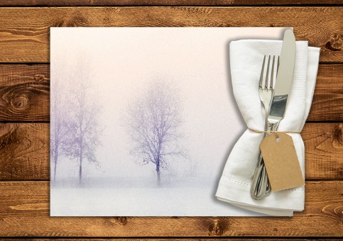 Winter landscape