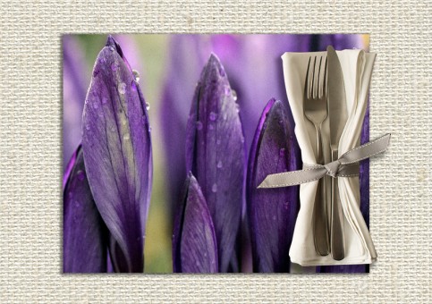  Crocus