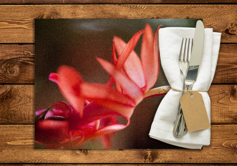 set de table personnalisé Fleur de cactée