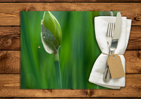 set de table personnalisé Narcisses
