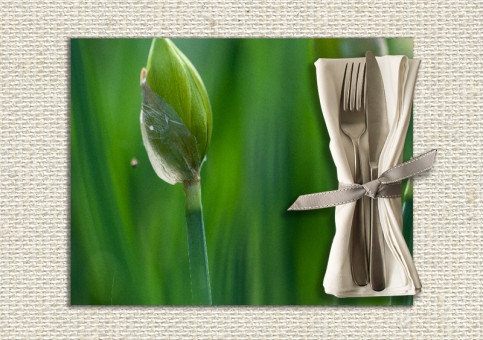 set de table personnalisé Narcisses