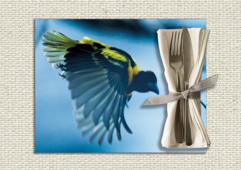 set de table personnalisé Oiseau Tisserin