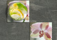Dessous de verre Orchidée 4