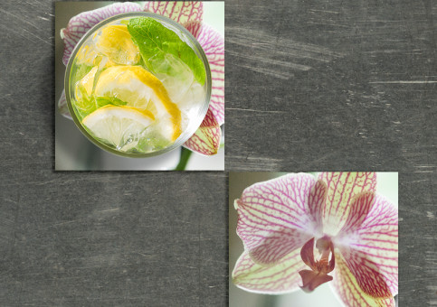 Dessous de verre Orchidée 4