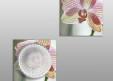Dessous de verre Orchidée 4