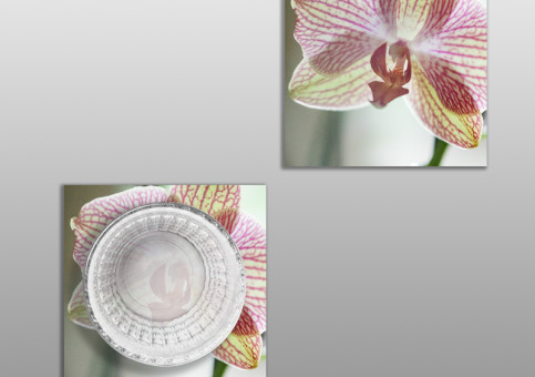 Dessous de verre Orchidée 4