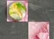  Fleurs