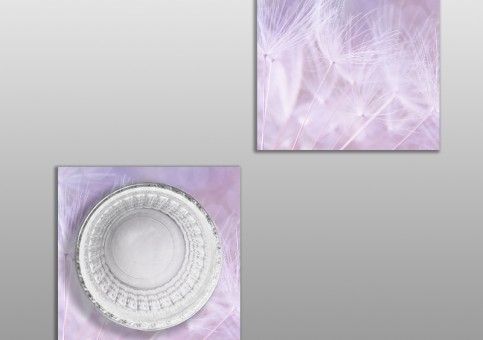  Purple dandelion