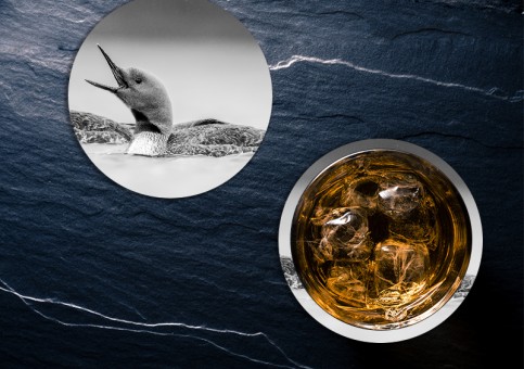 Dessous de verre oiseaux du Canada