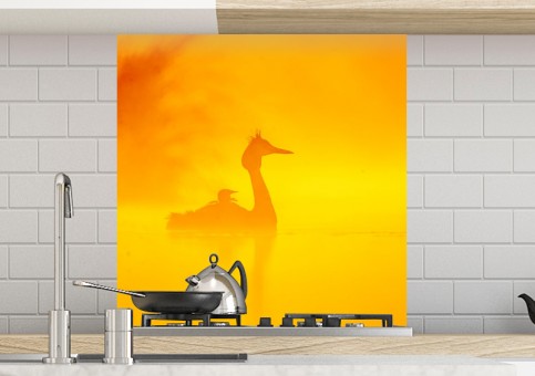 Crédence Grà¨be huppé