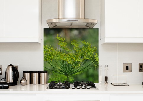 Crédence Fleur d'aneth