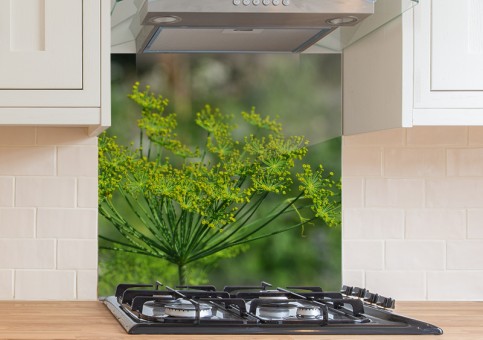 Crédence Fleur d'aneth