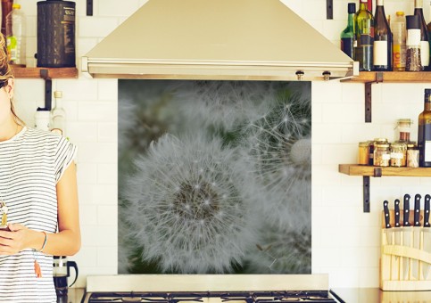 Crédence Graines de pissenlit