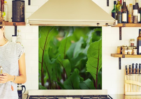 Crédence Pousses de betterave