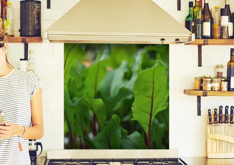 Crédence Pousses de betterave