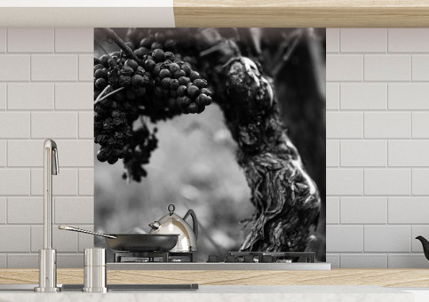 Crédence Pied de vigne