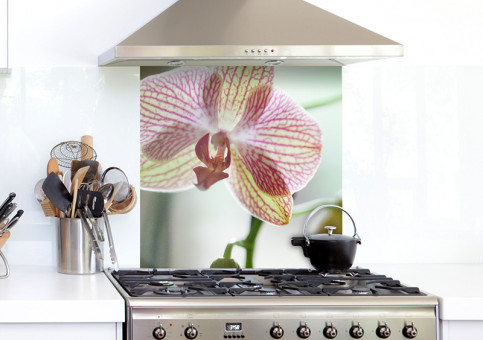 Crédence Orchidée 4