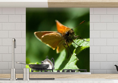 Crédence Papillon Sylvaine 1