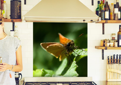 Crédence Papillon Sylvaine 1