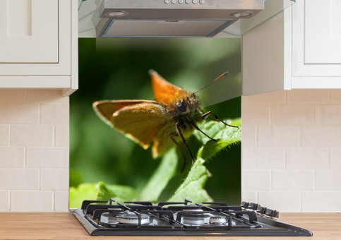 Crédence Papillon Sylvaine 1