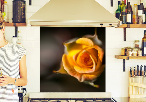 Crédence Rose jaune en bouton