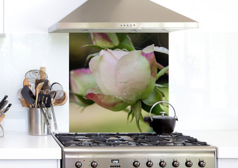 Crédence Rose Pierre de Ronsart 2015