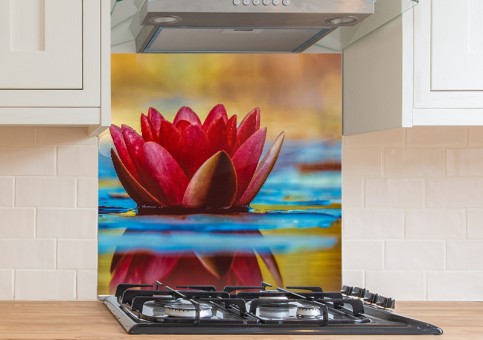  Water lily