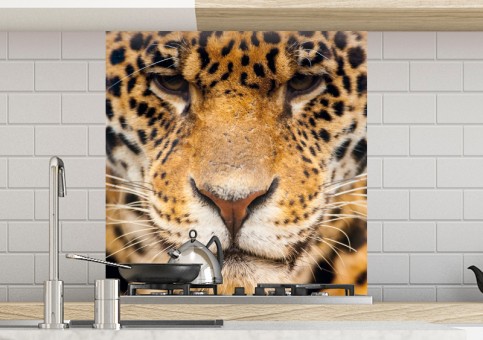 Crédence Portrait Léopard