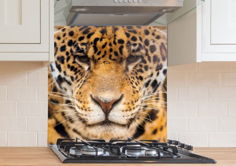 Crédence Portrait Léopard