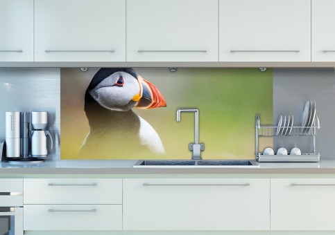 Crédence Portrait de macareux