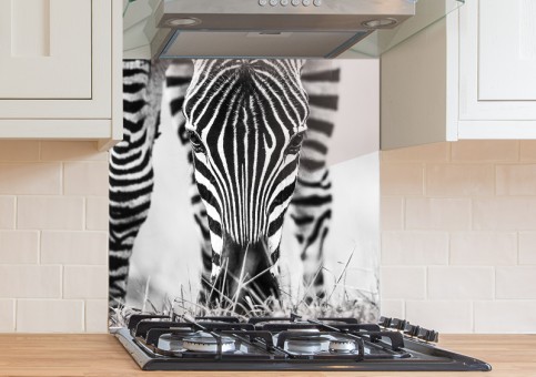 Crédence portrait de zà¨bre