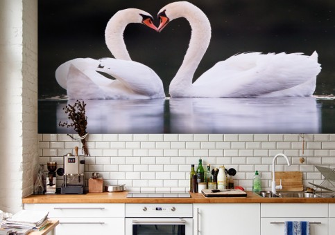 Habillage mural Coeur de cygne