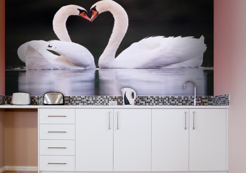 Habillage mural Coeur de cygne