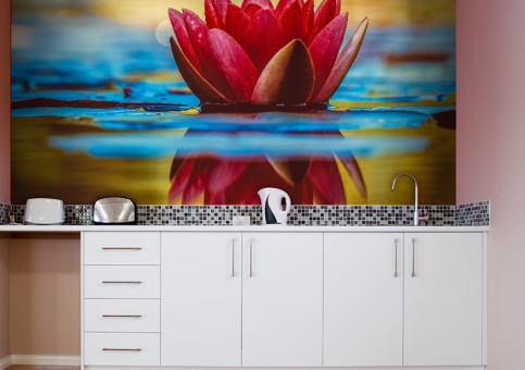  Water lily