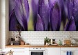 Habillage mural Crocus