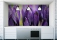 Habillage mural Crocus