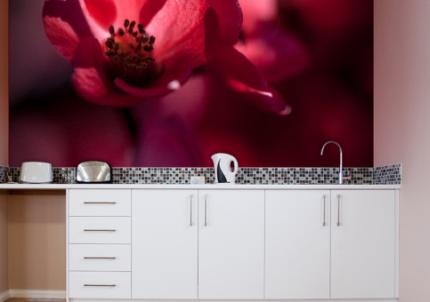 Habillage mural Fleur du japon