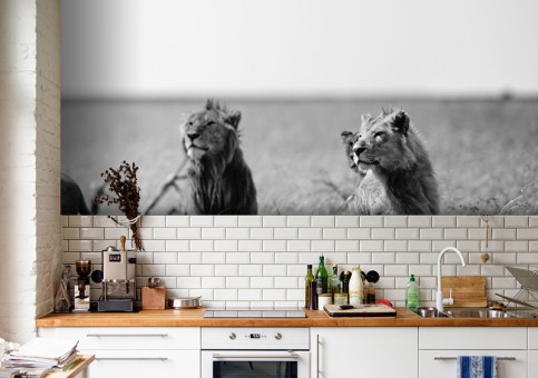 Habillage mural Bande de lions