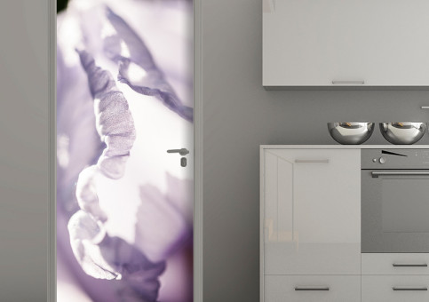 Habillage de porte Pétale d'iris