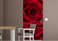 Habillage de porte Rose Dr Watson 1